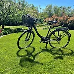 Lejlighed Neon Balaton, Large Botanical Garden, Bicycles, Pet&family Friendly, Outside Kitchen, *