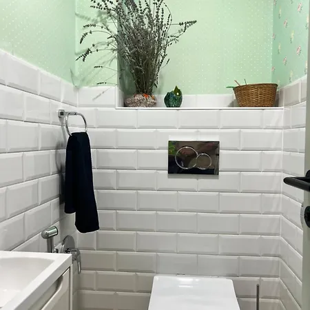 Neon Balaton, Large Botanical Garden, Bicycles, Pet&family Friendly, Outside Kitchen, Apartmán