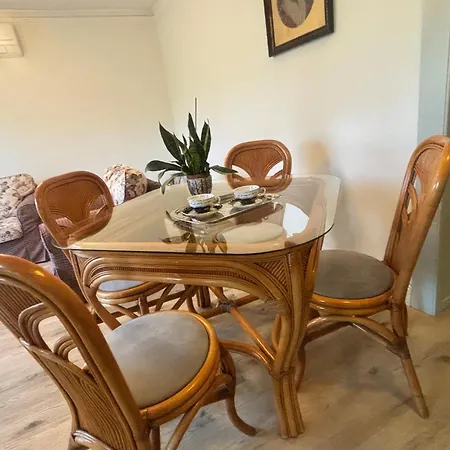 Neon Balaton, Large Botanical Garden, Bicycles, Pet&family Friendly, Outside Kitchen, Apartmán