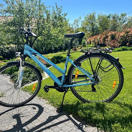 Neon Balaton, Large Botanical Garden, Bicycles, Pet&family Friendly, Outside Kitchen, Apartmán *