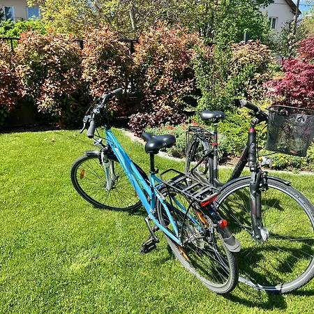 Neon Balaton, Large Botanical Garden, Bicycles, Pet&family Friendly, Outside Kitchen, * Csopak
