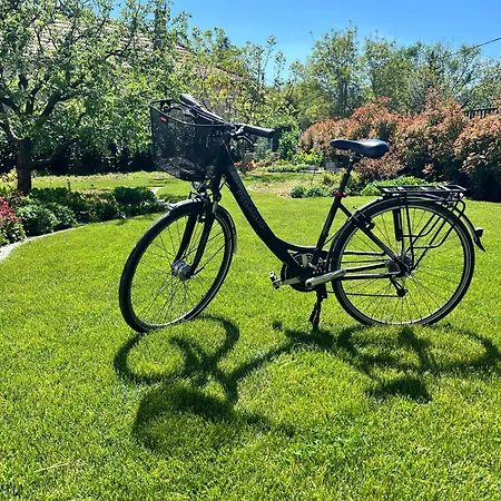 Apartmán Neon Balaton, Large Botanical Garden, Bicycles, Pet&family Friendly, Outside Kitchen, *