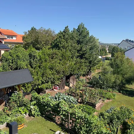 Neon Balaton, Large Botanical Garden, Bicycles, Pet&family Friendly, Outside Kitchen, Apartmán